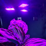 Osvetlenie pre rastliny, LED lampa pre rast rastlín 8W 108 D