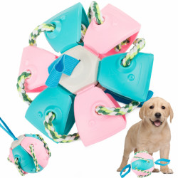 Létající míč Frisbee pro psy, modro-růžový