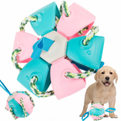 Lietajúci Frisbee ball pre psov, modro-ružová