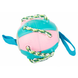 Létající míč Frisbee pro psy, modro-růžový