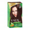Farba na vlasy LADY in Color - 4.4 gaštanová