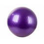 Fitness míč s pumpou - fialový