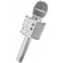 Karaoke mikrofón s reproduktorom, strieborný