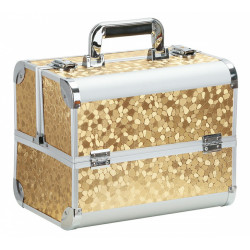Kosmetický kufřík 30,5 x 20,5 x 25 cm zlatý
