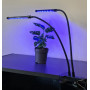 Lampa na rast rastlín, 2 ks