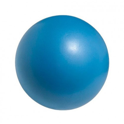 Rehabilitačná a cvičebná lopta Mini Pilot, modrá, veľkosť 25 cm