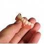 Dokonalý úsmev, falošná zubná protéza - spodná časť